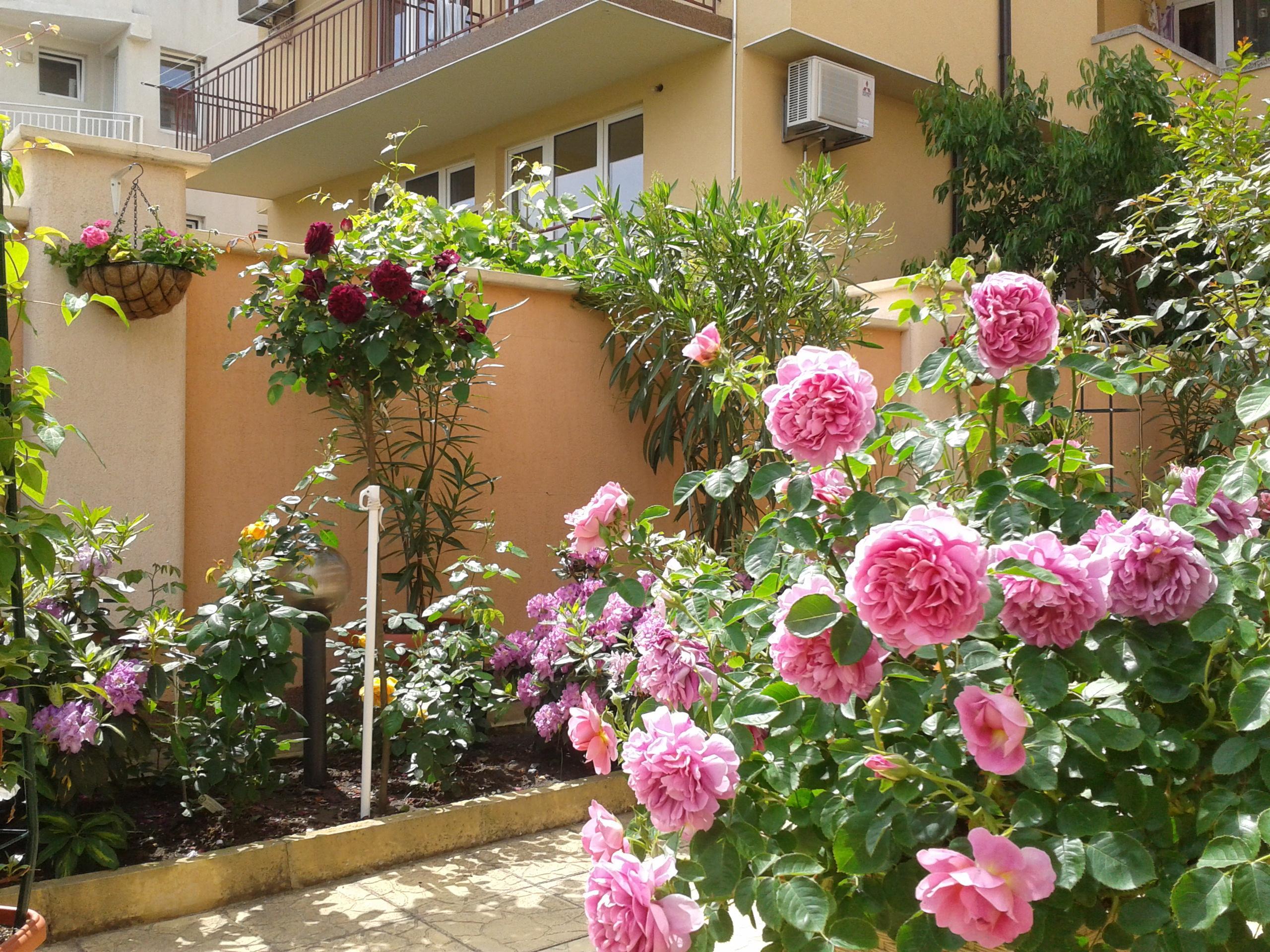 Hotel Chuchulev Sozopol Luaran gambar