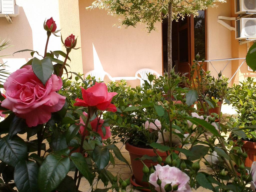 Hotel Chuchulev Sozopol Luaran gambar