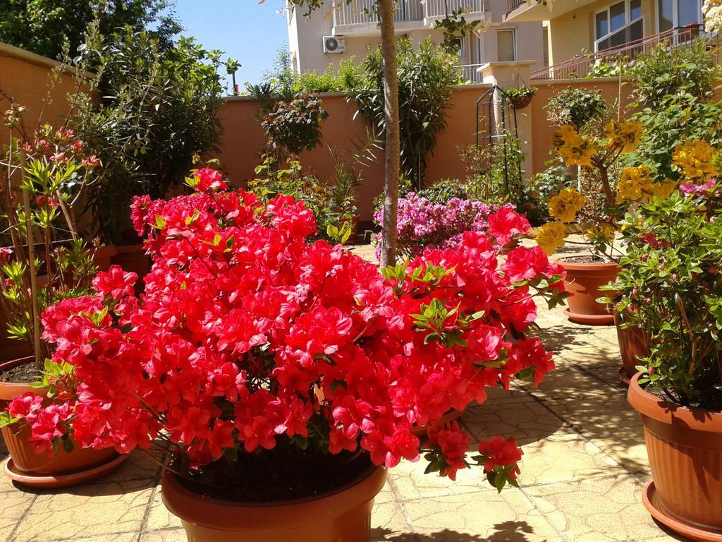 Hotel Chuchulev Sozopol Luaran gambar