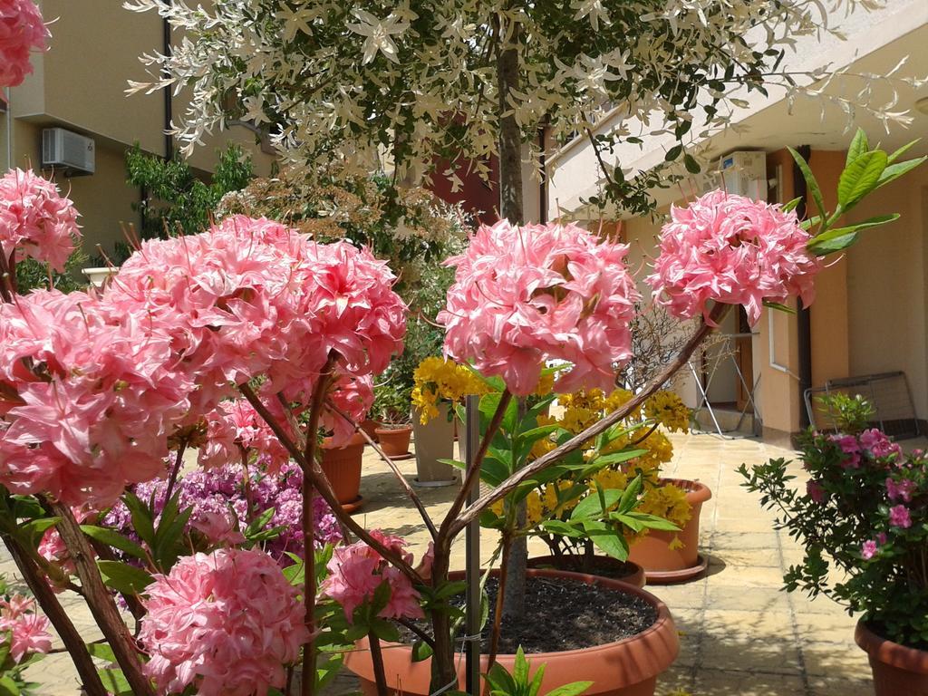 Hotel Chuchulev Sozopol Luaran gambar